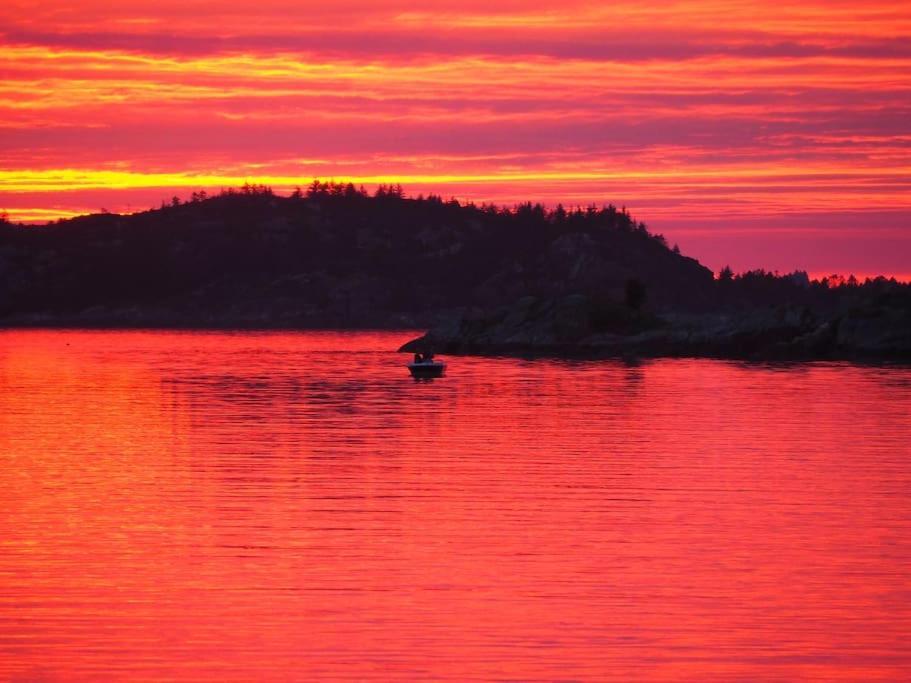 Eksklusiv Rorbu - Havblikk 1 - Batutleie Villa Bekkjarvik Bagian luar foto